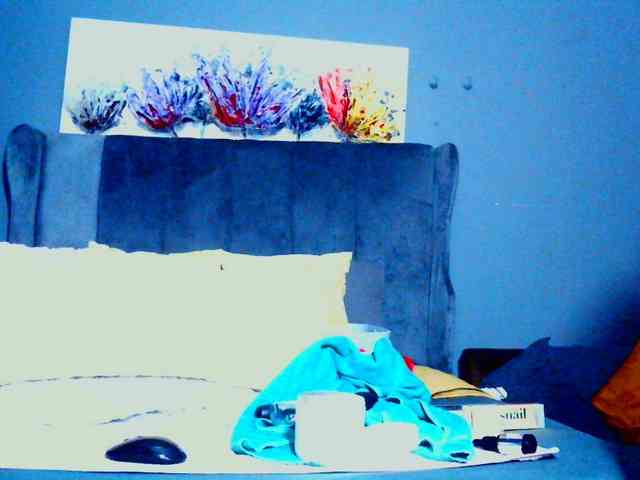 PearBlu38 webcam