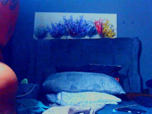PearBlu38 webcam