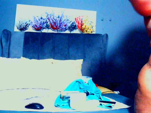 PearBlu38 webcam