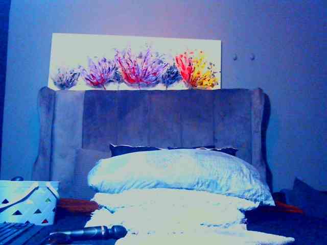 PearBlu38 webcam