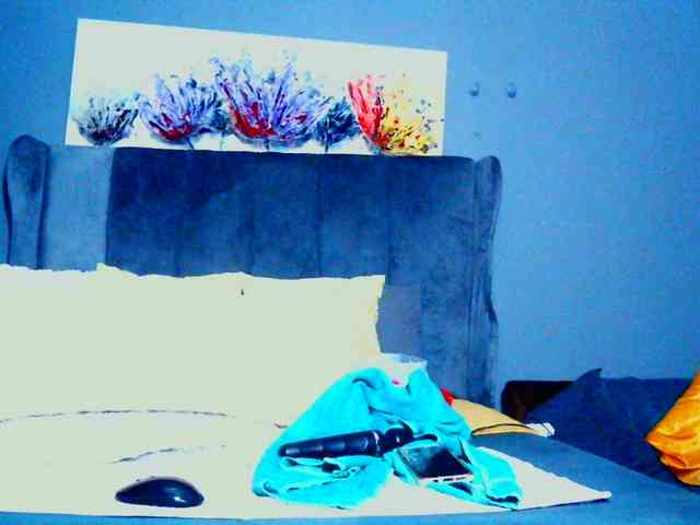 PearBlu38 webcam