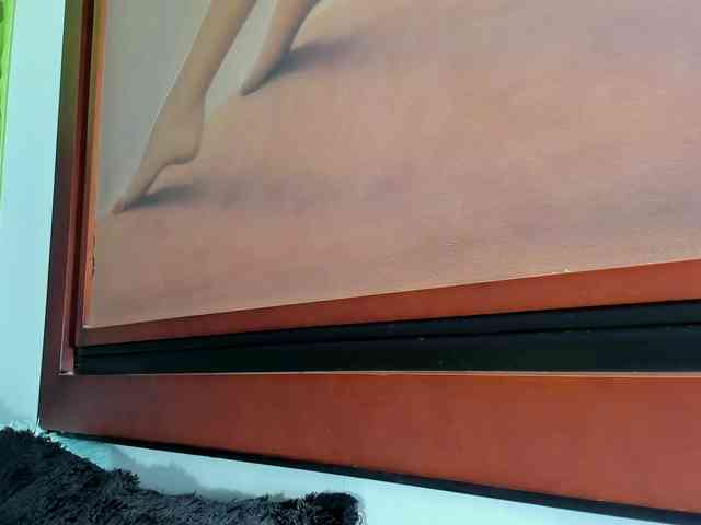 anyevaa webcam