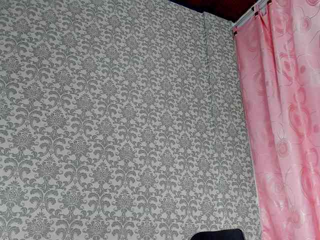 anyevaa webcam