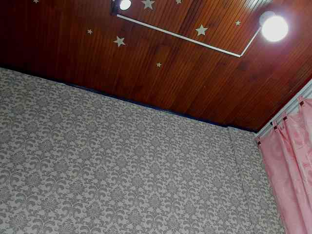anyevaa webcam