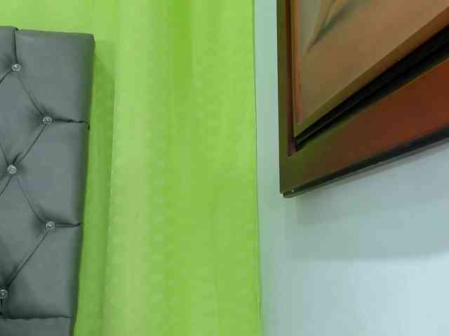 anyevaa webcam