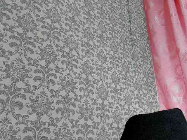 anyevaa webcam