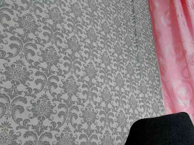 anyevaa webcam