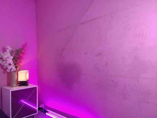Nikkenyx webcam