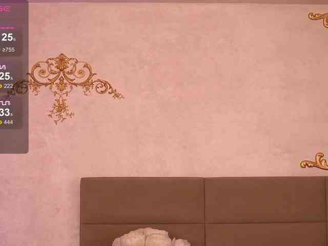 KyraCase webcam