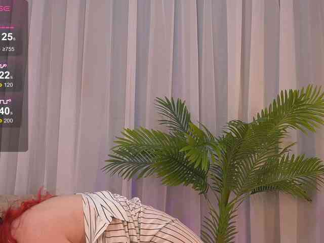 KyraCase webcam