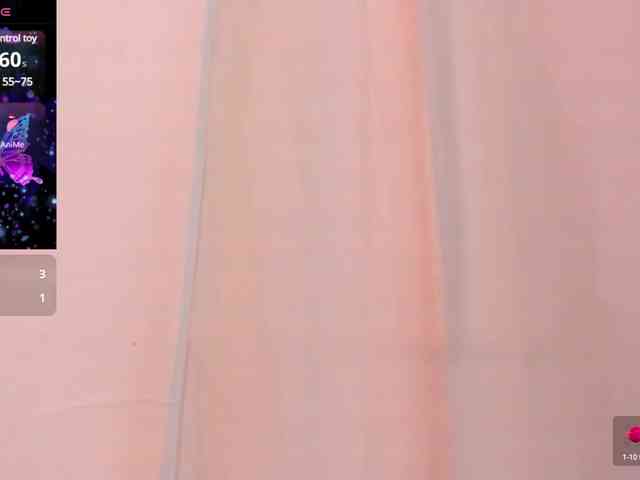 agness-smith webcam