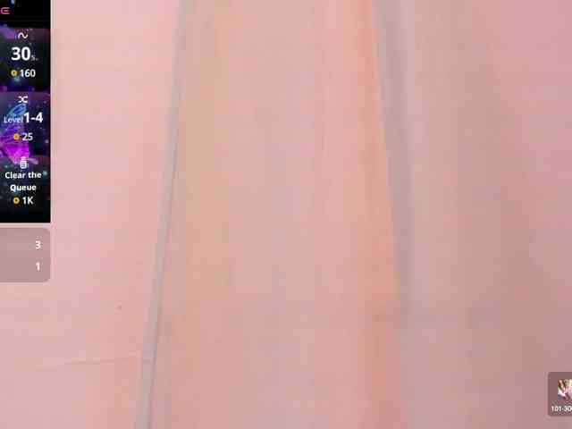 agness-smith webcam