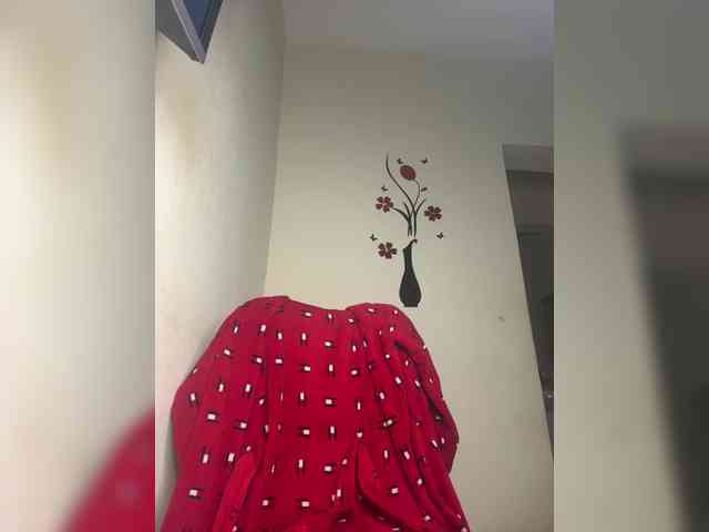 Velveet webcam