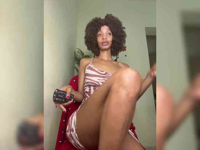 Velveet webcam
