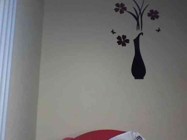 Velveet webcam