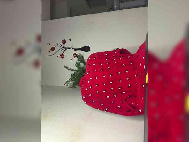 Velveet webcam