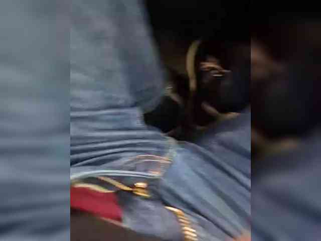 Antonioavgust8