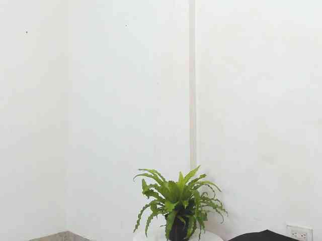 Lewachasco webcam