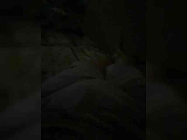 Antoniskl