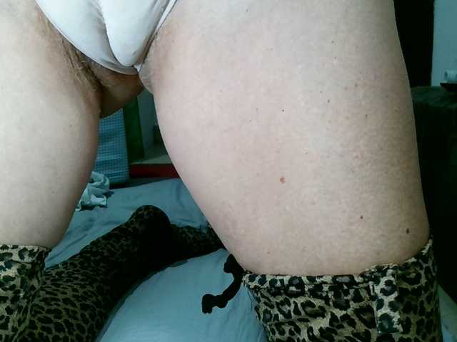 Carolsquirter's BongaCams show and profile