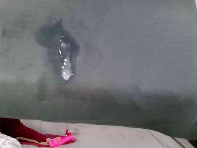 Carolsquirter webcam