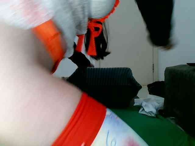 Carolsquirter webcam