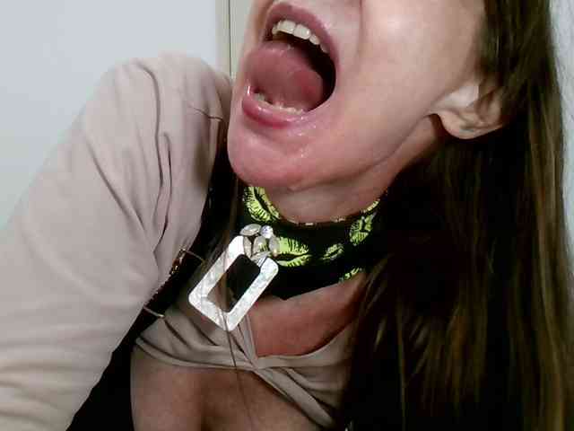 Carolsquirter webcam