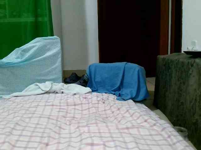 Carolsquirter webcam