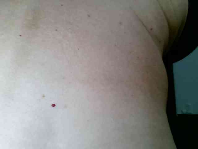 Carolsquirter webcam