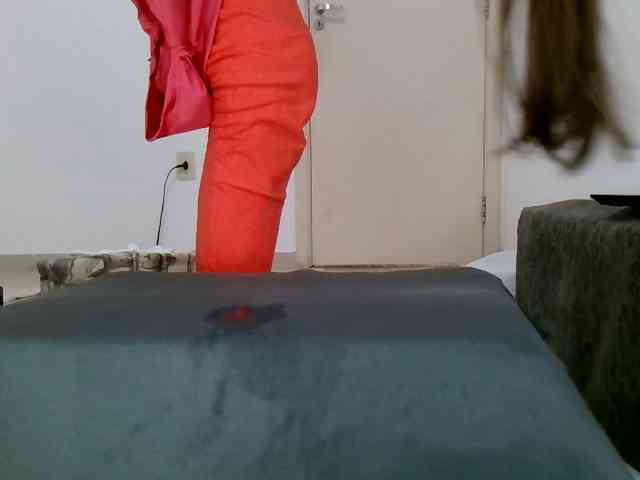 Carolsquirter webcam