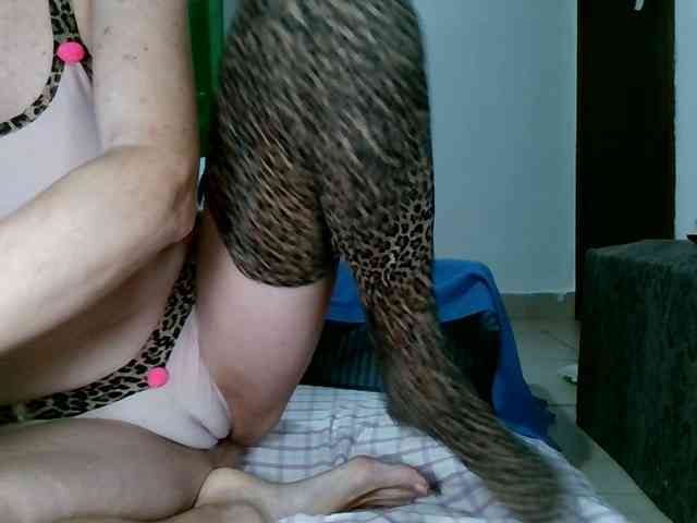 Carolsquirter webcam