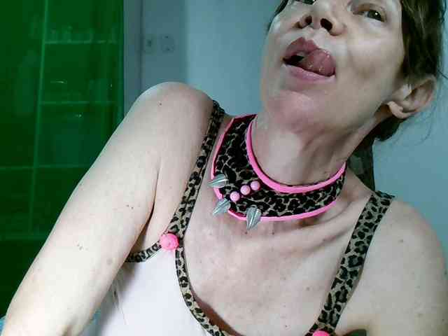 Carolsquirter webcam