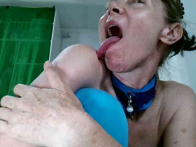 Carolsquirter webcam