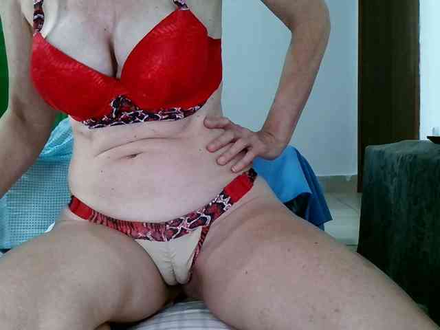 Carolsquirter webcam