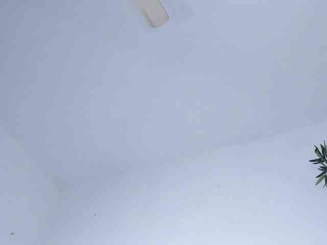 Eva-abaad webcam