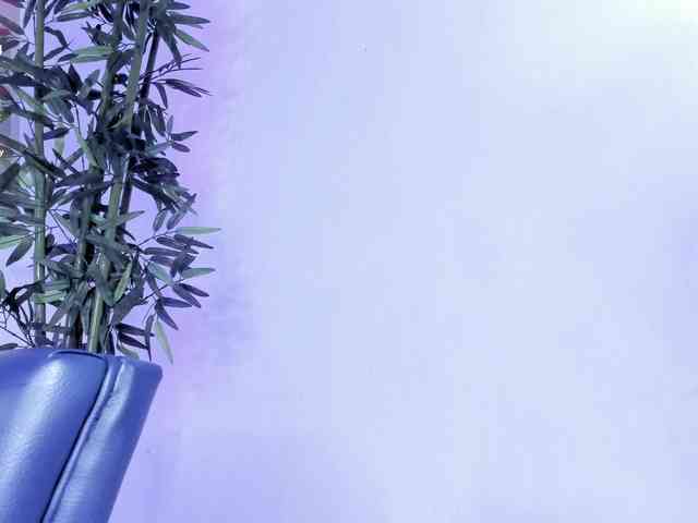 Eva-abaad webcam