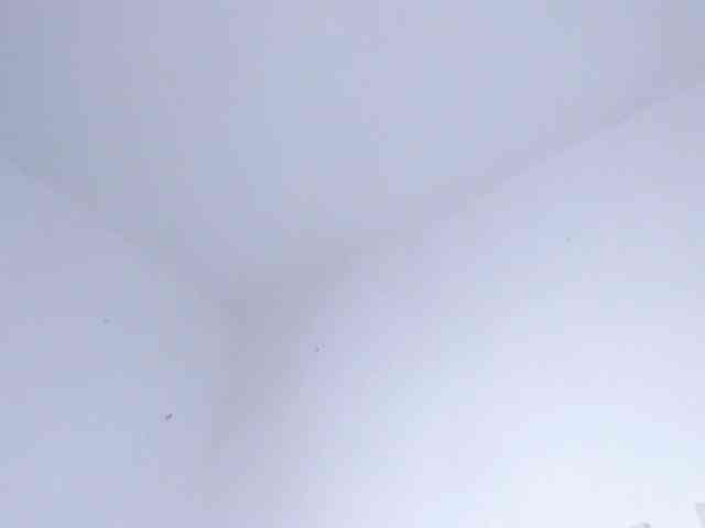 Eva-abaad webcam