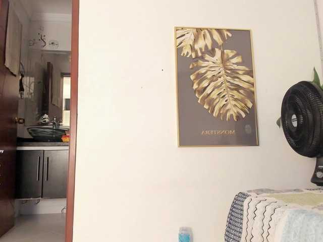 amina-hafssa live cam profile