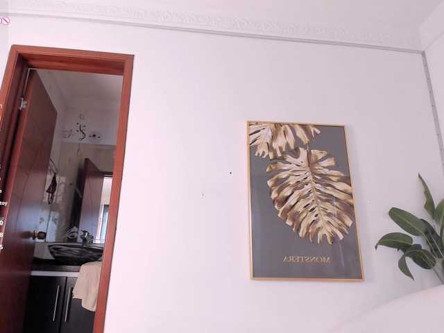 amina-hafssa's BongaCams show and profile