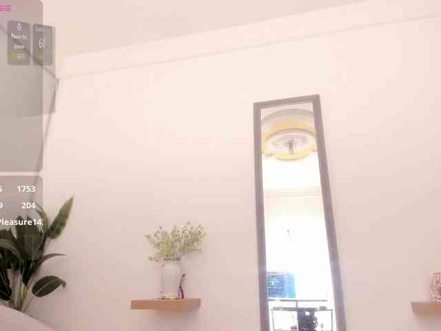 amina-hafssa amina-hafssa