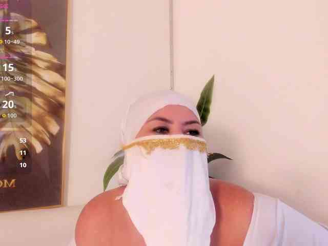 amina-hafssa amina-hafssa