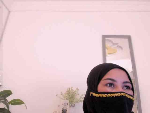 amina-hafssa amina-hafssa