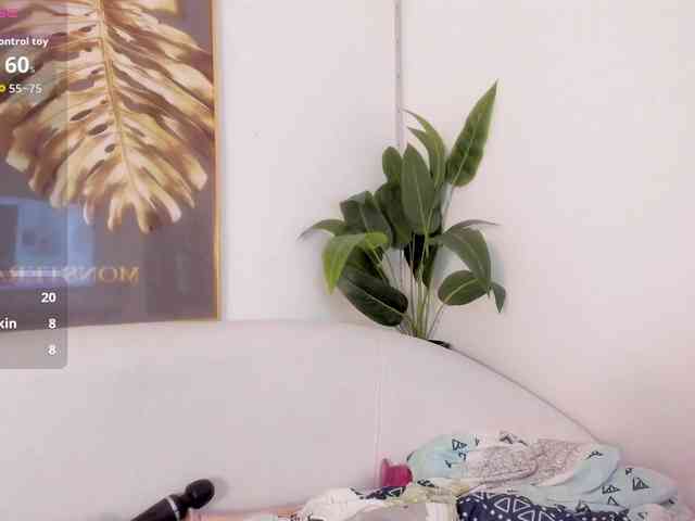 amina-hafssa amina-hafssa