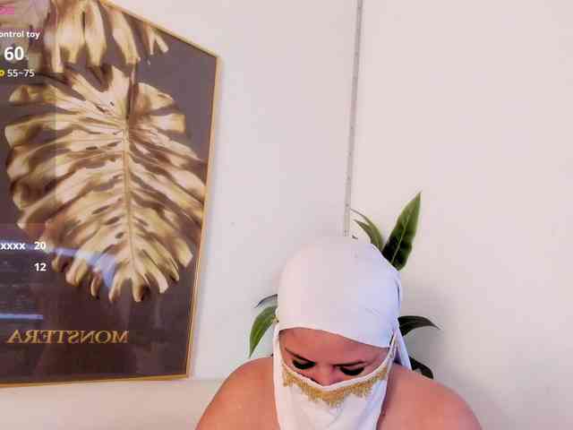 amina-hafssa amina-hafssa