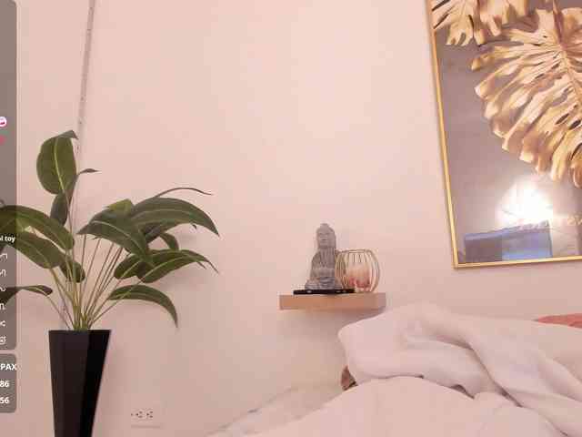 amina-hafssa webcam