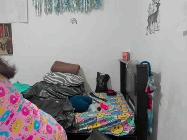 cristal-g19 webcam