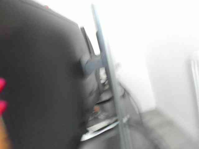 DaisyAbby webcam