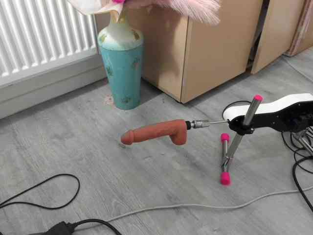 DaisyAbby webcam