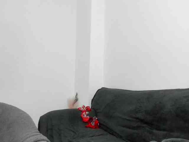 DaisyAbby webcam