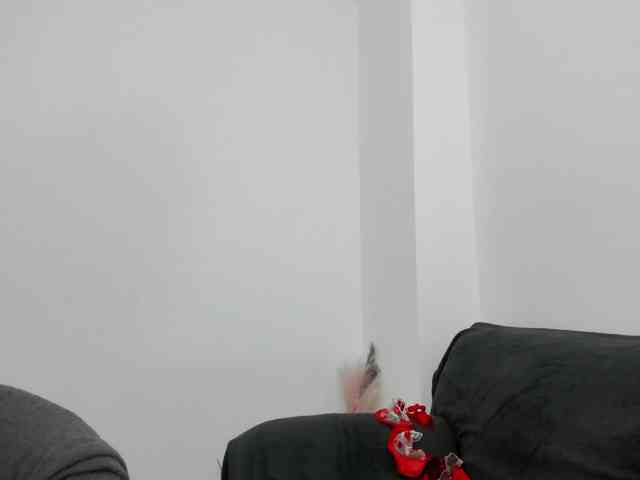 DaisyAbby webcam